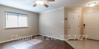 10343 Lion Chase Gallery 7