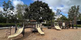 186 Cherrybrook Lane Gallery 16