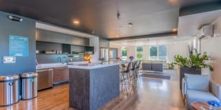 Edition Apartments Gallery 53