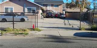 21862 Dracaea Gallery 1