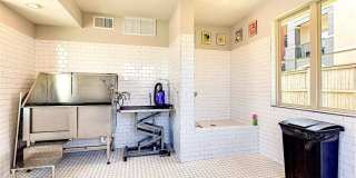 Quadrangles on Twenty Gallery 48