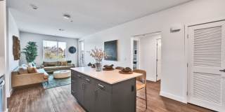 Ocean Creek Gallery 57