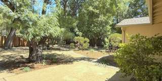 Remodeled one story home in highly desirable Alamo with huge park like yard ! Remodeled one story home in highly desirable Alamo with huge park like yard ! Gallery 34