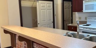 The Lodge Gallery 20