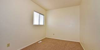 Huge yard with Pikes Peak Views! Gallery 11