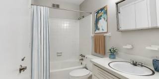 ReNew Druid Hills Gallery 4