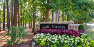 Laurel Springs Gallery 6