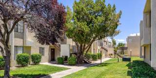 Centennial Park View Gallery 1