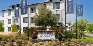 The Strand Gallery 43