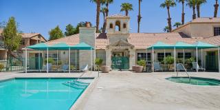 Desert Oasis Gallery 14