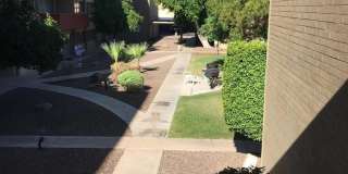 357 E Thomas Road Gallery 11