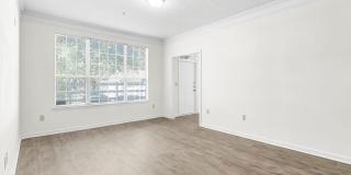 Lake St. James Gallery 19