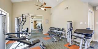 Renaissance Gallery 25