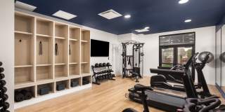 Juniper on Main Gallery 11