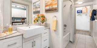 Solara Gallery 8