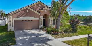17353 LAWN ORCHID Gallery 1