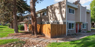 The Willows Gallery 1