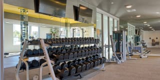 Lucent Scottsdale Gallery 24