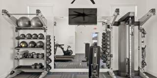 Zora Encanto Gallery 16