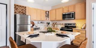 The Landings at Silver Lake Village Gallery 42