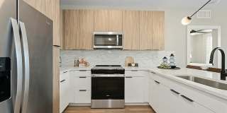 The Scottie Gallery 4