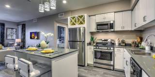 Aspire at Tropicana Gallery 5