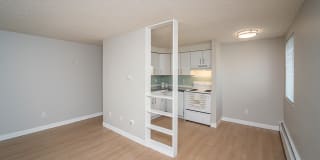 805 Dahlia Gallery 20