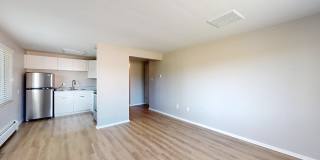 Twin Maples Gallery 3