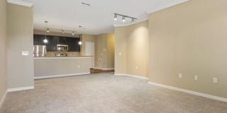 Lantower Cypress Creek Gallery 6