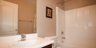 23893 N Desert Agave St Gallery 32