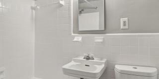 Swift at Riverdale Park Gallery 47