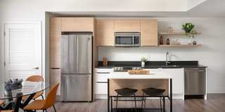 Core Link at Douglas Gallery 6