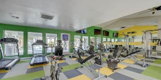 Emerald Springs Gallery 7