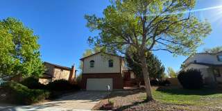 Spacious 4-Bed Rental in Aurora Featuring High Ceilings and Large Yard Gallery 1