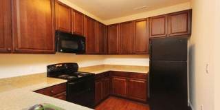 Briton Trace Apartments Gallery 73