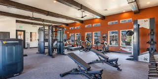 Jasper at Victory Ridge Gallery 10