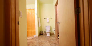 Settlement Place Gallery 161