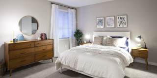 Evergreen Ridge Gallery 7