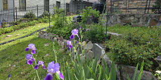 902 Endicott Street Gallery 8