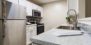 The Luxe of Southaven Gallery 5