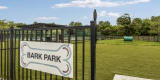 The Austin Gallery 9