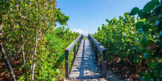 2225 Seaside Street Gallery 29