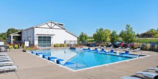 Kinsley Forest Gallery 26