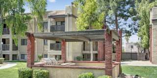 Paradise Falls Gallery 23