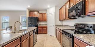 10231 Boggy Moss Dr Gallery 14