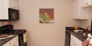 Bella Terraza Gallery 135