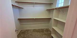 14279 Wildcat Gallery 9