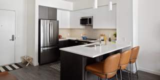 The Launch Gallery 2