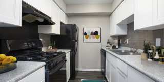 The Clara The Clara Gallery 3