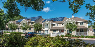 Katahdin Woods Gallery 13